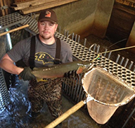 McKay Braley holding a cutthroat trout in a fish trap