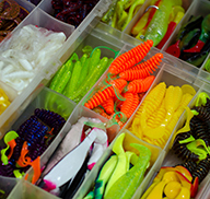 Various multicolored soft fish baits in a box