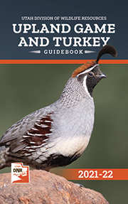 Upland Game and Turkey Guidebook cover