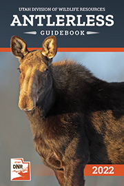 Antlerless Guidebook