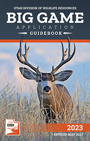 Big Game Application Guidebook cover