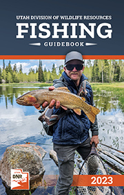 Utah fishing guidebook cover