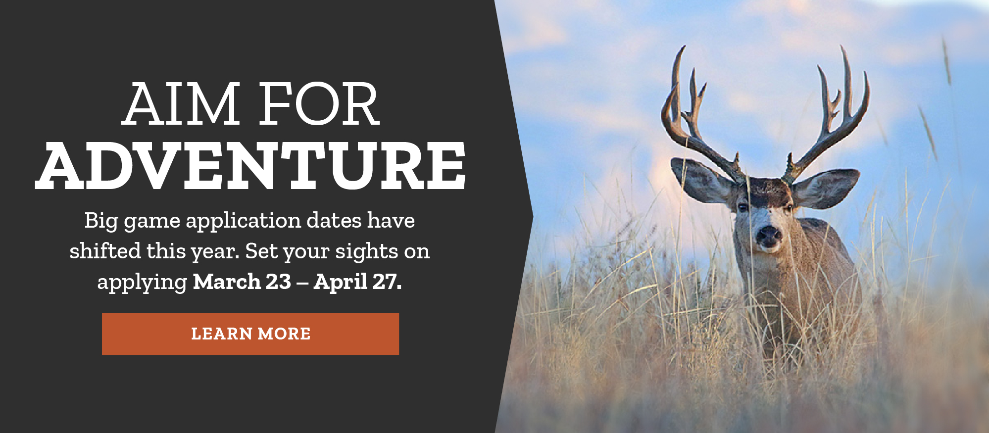 Aim for adventure: 2023 Big Game Application Dates
