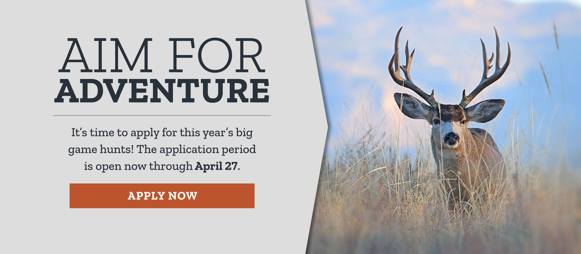 Aim for adventure: 2023 Big Game Application Dates