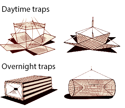 Crayfish traps