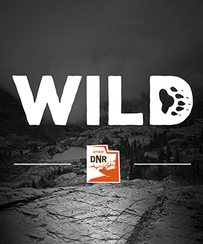 Listen to "Wild" podcast episode 28: Shooting ranges