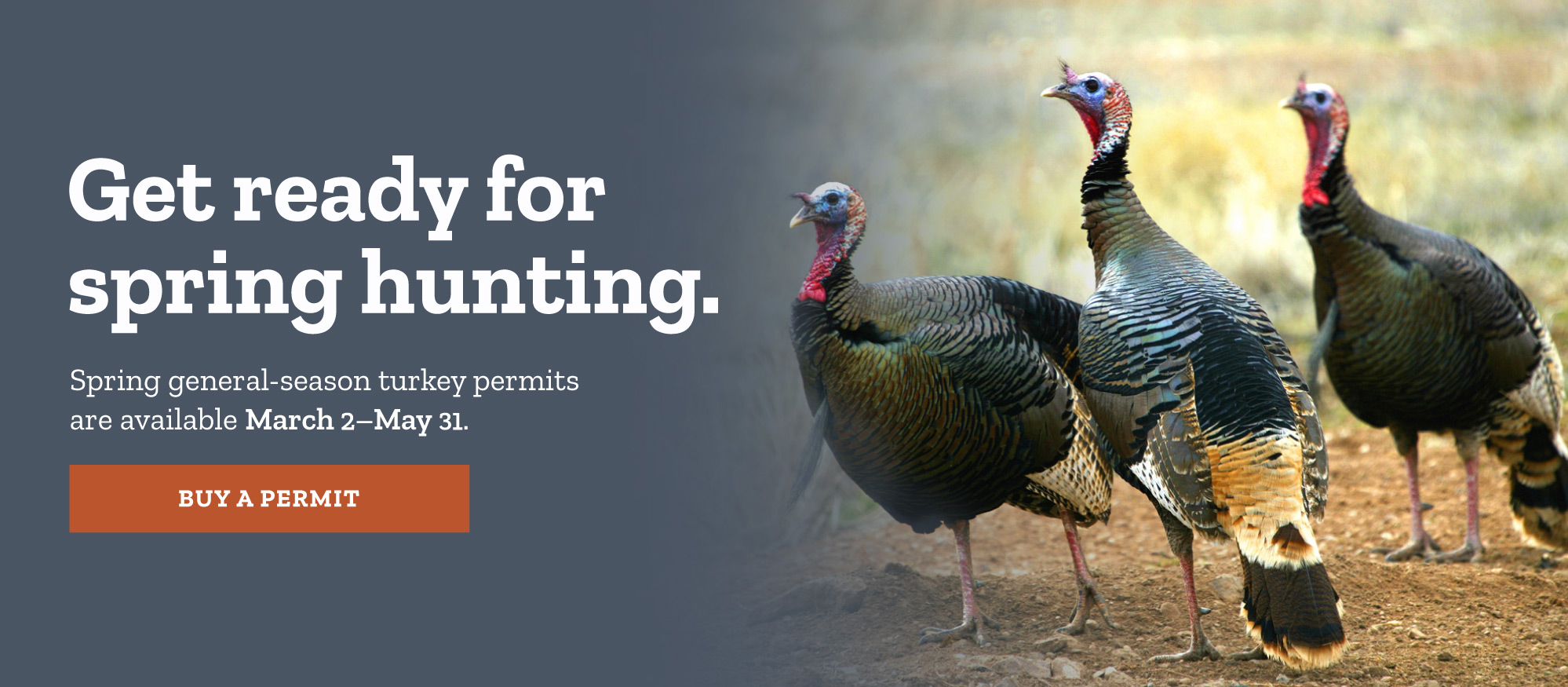 Get ready for spring hunting.