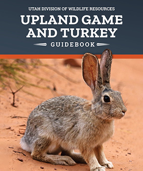 Upland game and turkey guidebook