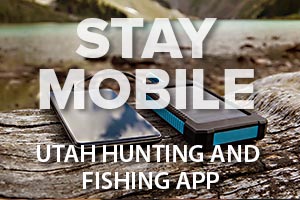 Hunter, angler app