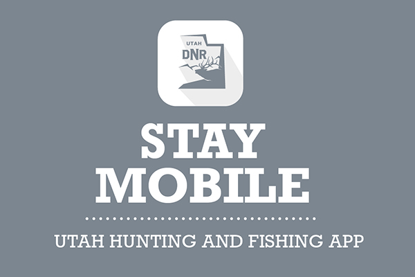 Hunter, angler mobile app