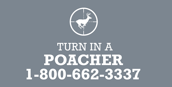 Report poachers — 1-800-662-3337