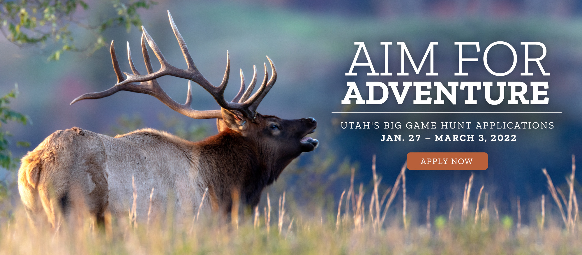 Aim for adventure! Utah&apos;s big game hunt applications run from Jan. 27 to March 3, 2022. Apply now!