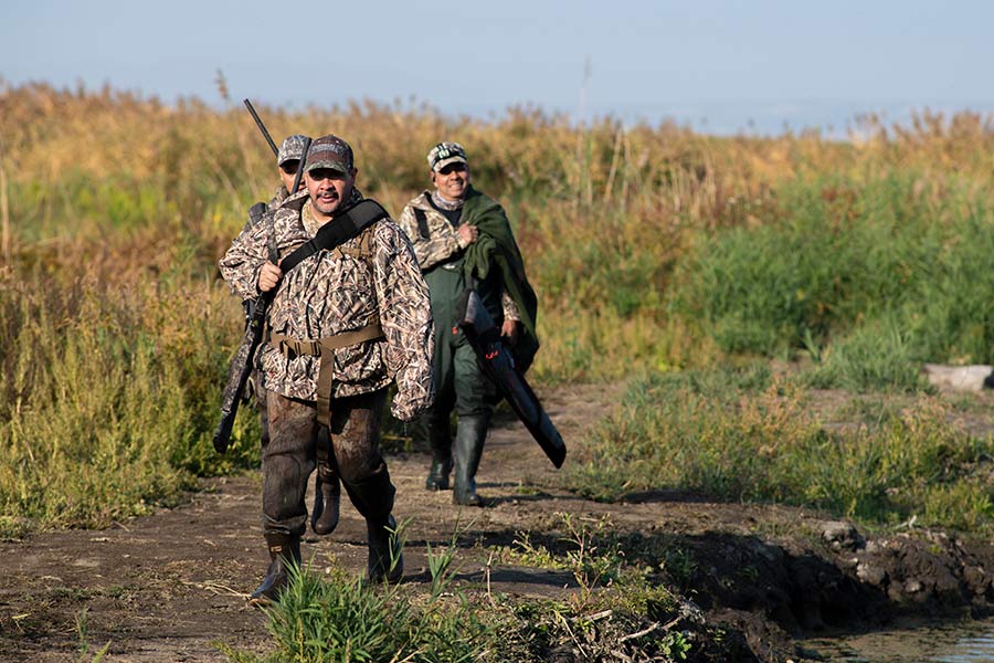 Three waterfowl hunters with rifles walking in a marsh