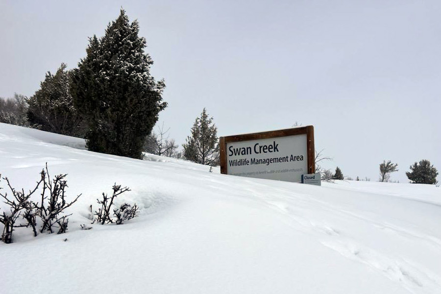 Swan Creek Wildlife Management Area entrance sign in deep snow