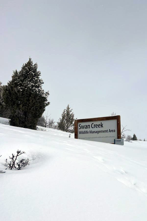 Swan Creek Wildlife Management Area entrance sign in deep snow