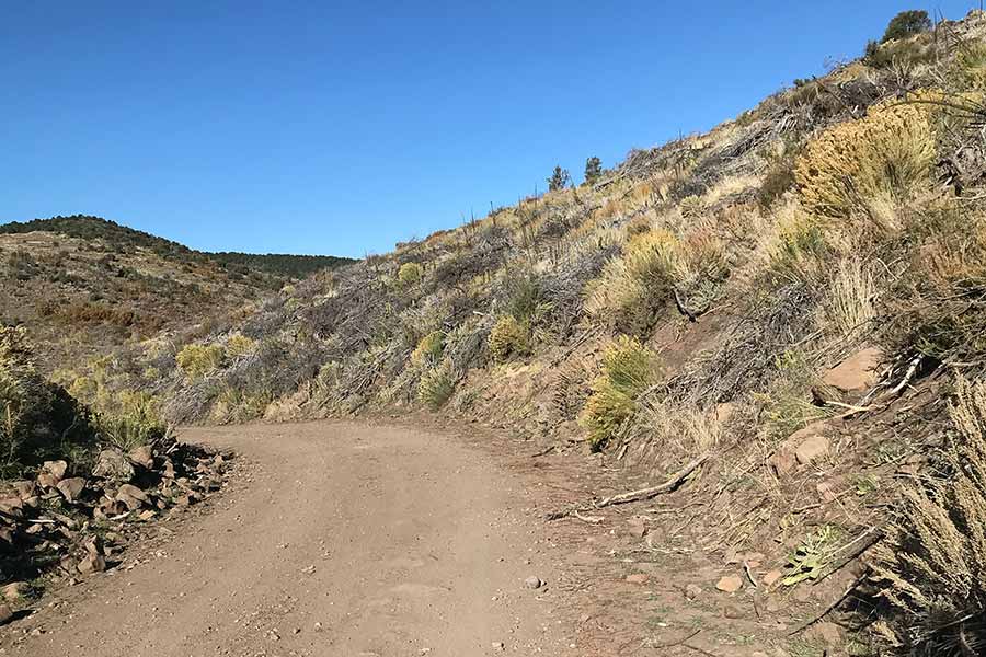 Dirt road near Beaver, Utah, where a buck deer was found illegally killed